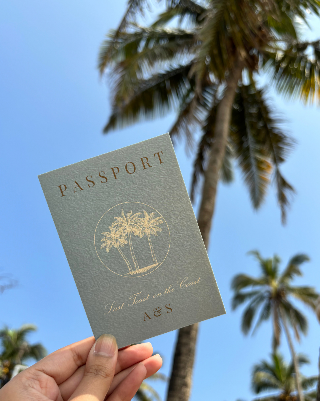 Passport & Boarding Pass